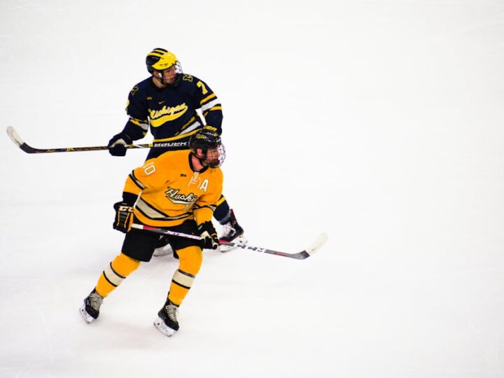 ¿Qué deportes hay sobre hielo?